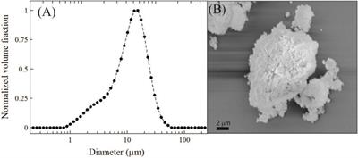 Hydroxyapatite Growth on Poly(Dimethylsiloxane-Block-ε-Caprolactone)/Tricalcium Phosphate Coatings Obtained by Electrophoretic Deposition